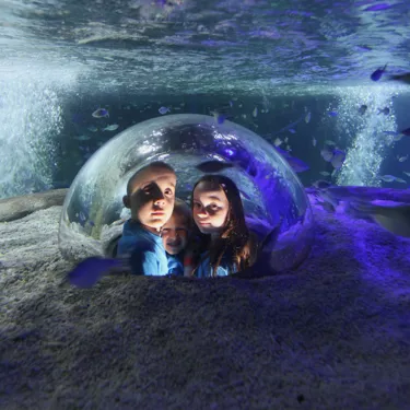 Children at the watch bubble at SEA LIFE Blackpool