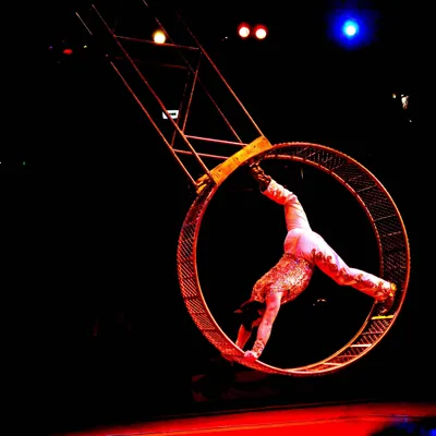 Acrobat in the circus wheel Cyr at the Blackpool Tower Circus